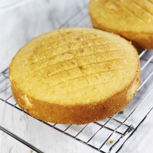 Vanilla Butter Cake Recipe Pastry Madness