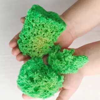How to Make Edible Moss Without Eggs