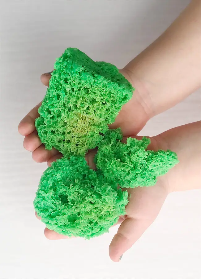 How to Make Edible Moss Without Eggs 
