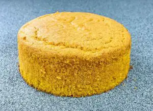 Pumpkin Sponge Cake