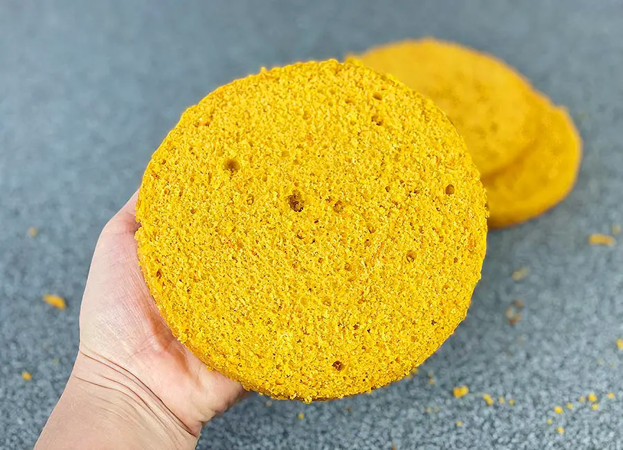 A hand holding pumpkin sponge cake layer