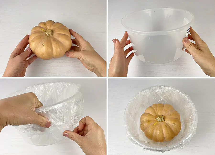 Pumpkin inside of a big plastic container covered with plastic bag.