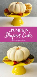 Pumpkin Shaped Cake Pinterest Pin